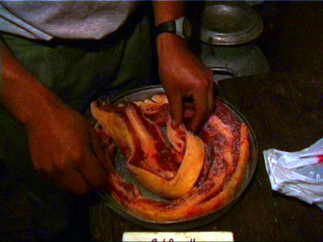 viande ouvrier 3